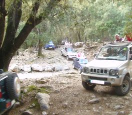 excursion jeep