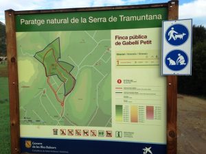 ses fonts ufanes mallorca