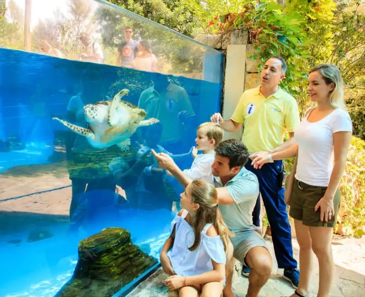 Palma Aquarium en Mallorca Consejos Para la Visita