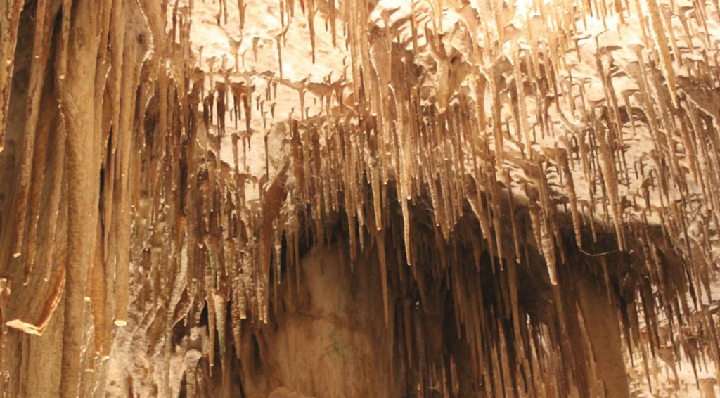 Detalle de una de las salas de las Cuevas del Drach